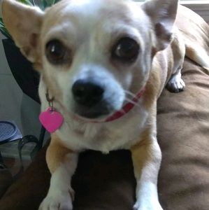 Meet your Posher, Julie